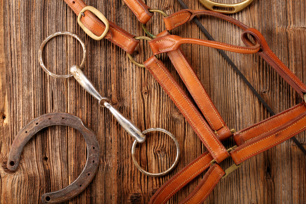 Die sch&ouml;nsten & kreativsten Geschenke f&uuml;r Reitlehrer*innen: Geburtstag, Weihnachten, Abschied & mehr