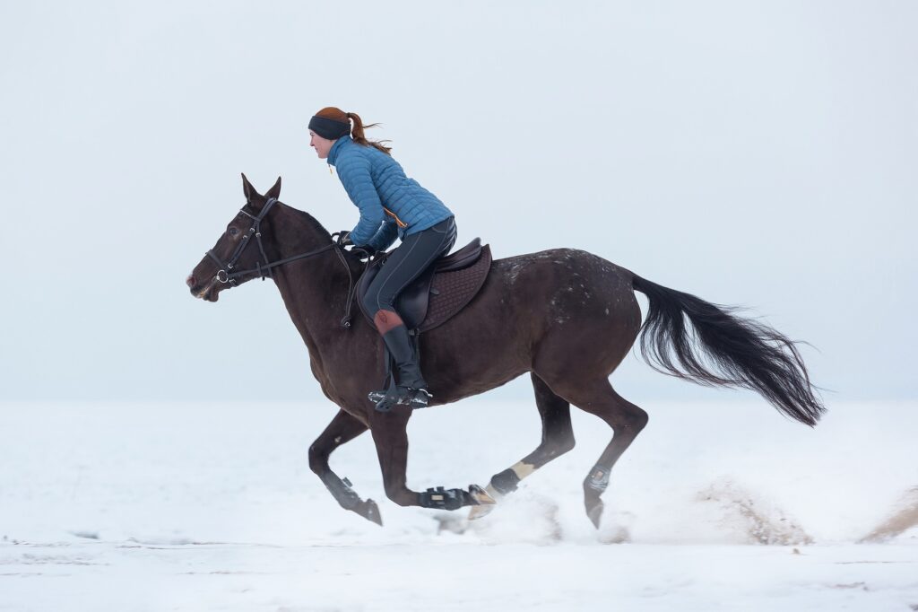 Bekleidung f&uuml;r Pferdezuchtverb&auml;nde und Auktionsh&auml;user individuell gestalten